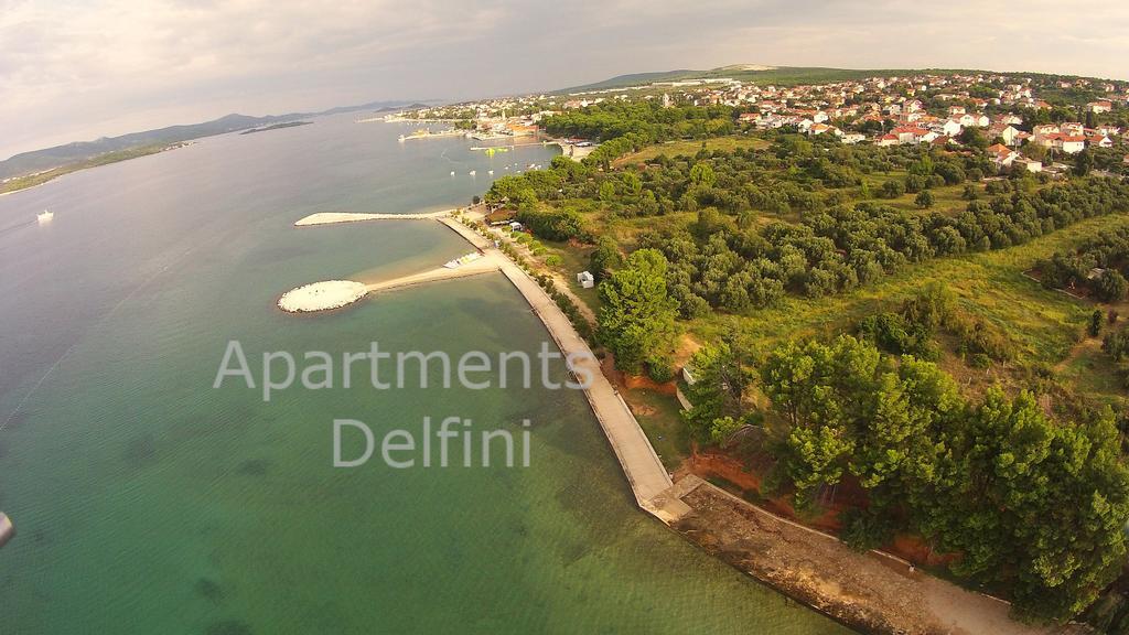 Delfini * Sveti Filip i Jakov