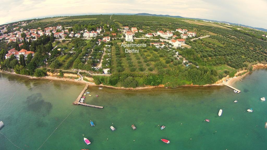 Delfini * Sveti Filip i Jakov